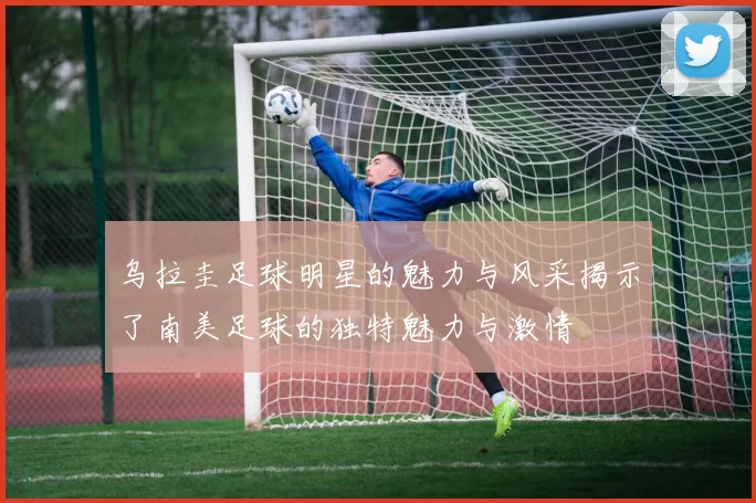 乌拉圭足球明星的魅力与风采揭示了南美足球的独特魅力与激情