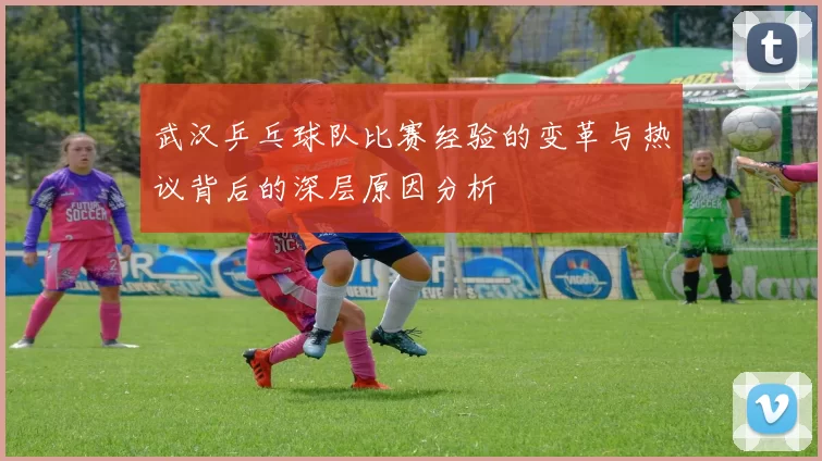 武汉乒乓球队比赛经验的变革与热议背后的深层原因分析