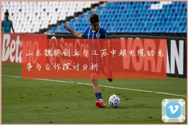 山东魏桥创业与江苏中超电缆的竞争与合作探讨分析