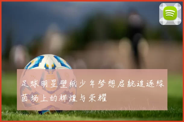 足球明星壁纸少年梦想启航追逐绿茵场上的辉煌与荣耀