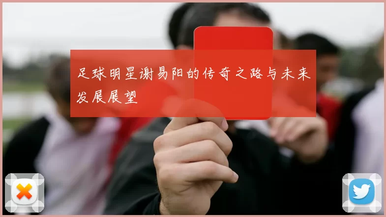 足球明星谢易阳的传奇之路与未来发展展望