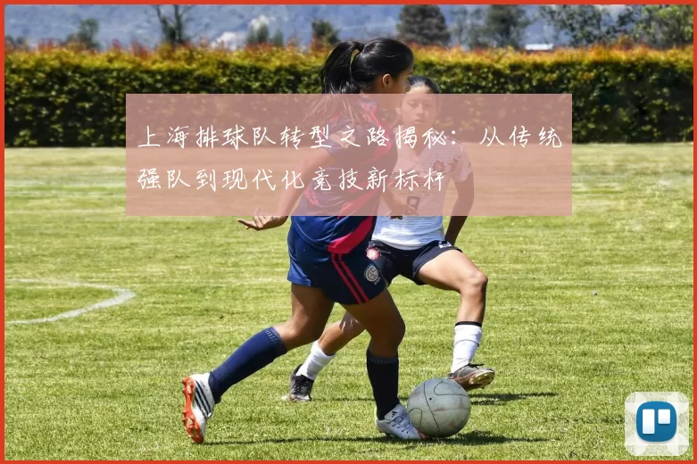 上海排球队转型之路揭秘：从传统强队到现代化竞技新标杆