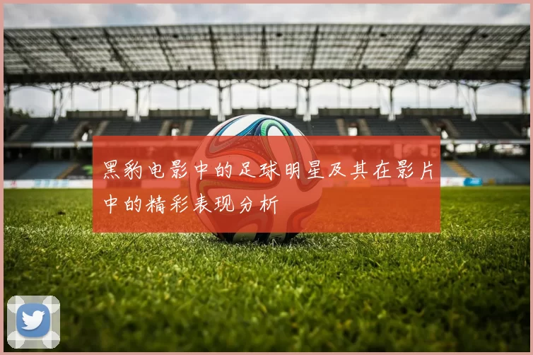 黑豹电影中的足球明星及其在影片中的精彩表现分析