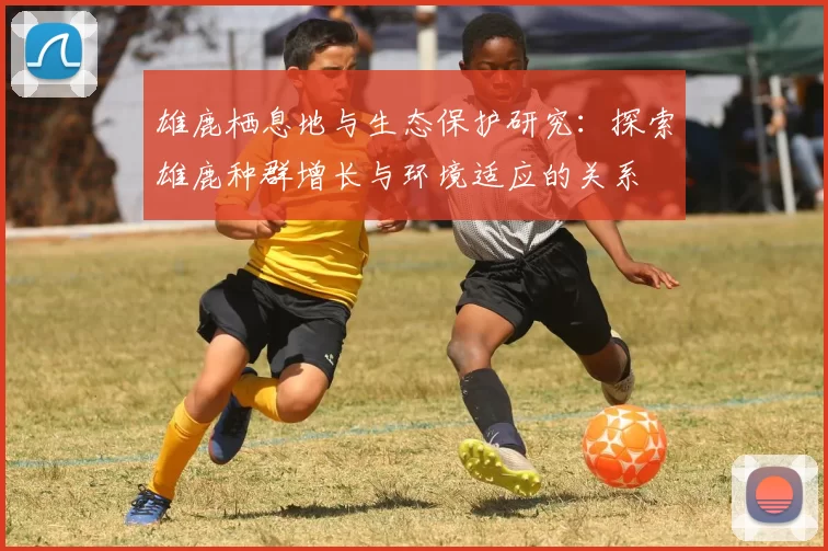 雄鹿栖息地与生态保护研究：探索雄鹿种群增长与环境适应的关系