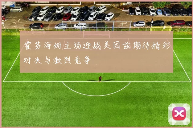 霍芬海姆主场迎战美因兹期待精彩对决与激烈竞争