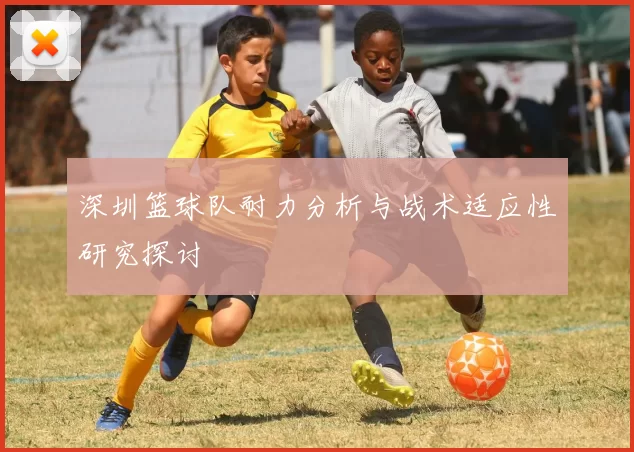 深圳篮球队耐力分析与战术适应性研究探讨