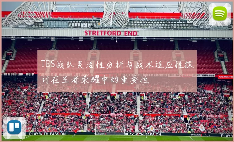 TES战队灵活性分析与战术适应性探讨在王者荣耀中的重要性