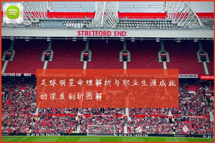 足球明星命理解析与职业生涯成就的深度剖析图解
