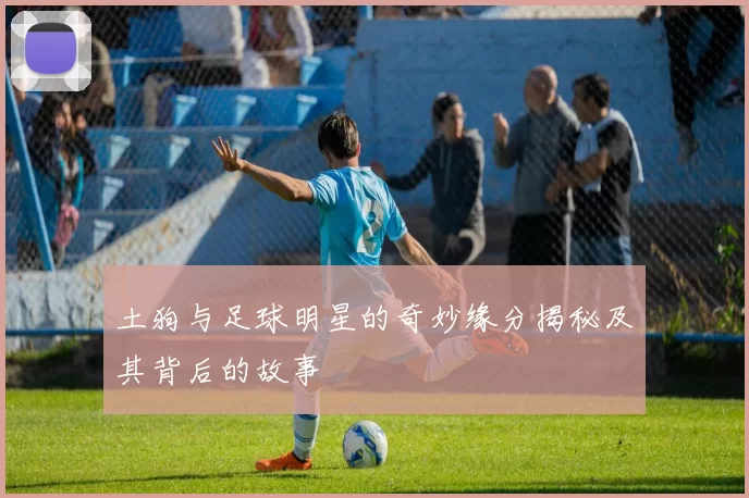 土狗与足球明星的奇妙缘分揭秘及其背后的故事