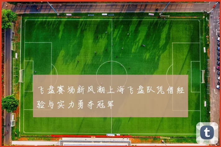 飞盘赛场新风潮上海飞盘队凭借经验与实力勇夺冠军