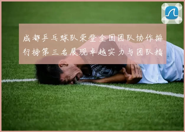 成都乒乓球队荣登全国团队协作排行榜第三名展现卓越实力与团队精神