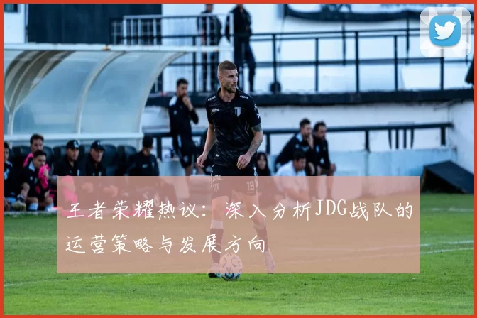 王者荣耀热议：深入分析JDG战队的运营策略与发展方向