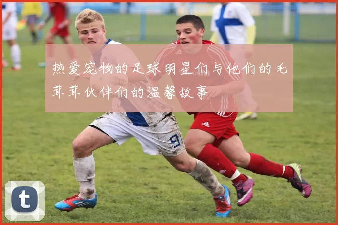 热爱宠物的足球明星们与他们的毛茸茸伙伴们的温馨故事