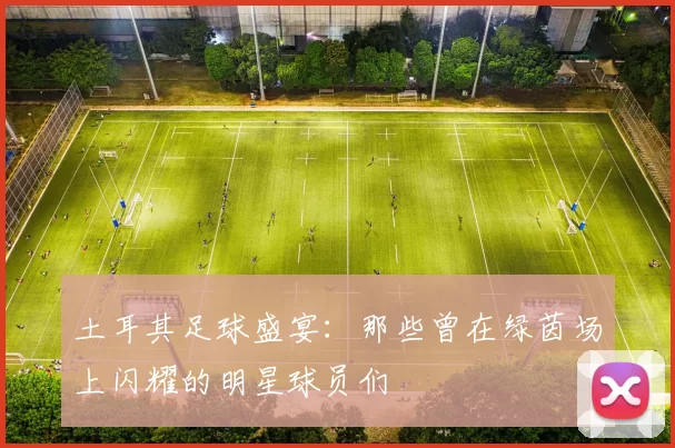 土耳其足球盛宴：那些曾在绿茵场上闪耀的明星球员们