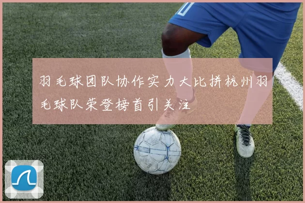羽毛球团队协作实力大比拼杭州羽毛球队荣登榜首引关注