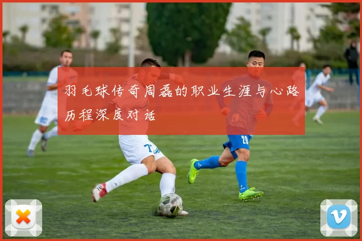 羽毛球传奇周磊的职业生涯与心路历程深度对话