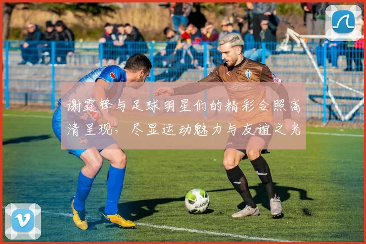 谢霆锋与足球明星们的精彩合照高清呈现，尽显运动魅力与友谊之光