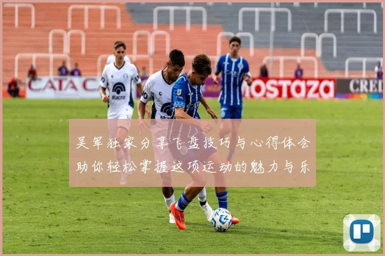吴军独家分享飞盘技巧与心得体会助你轻松掌握这项运动的魅力与乐趣