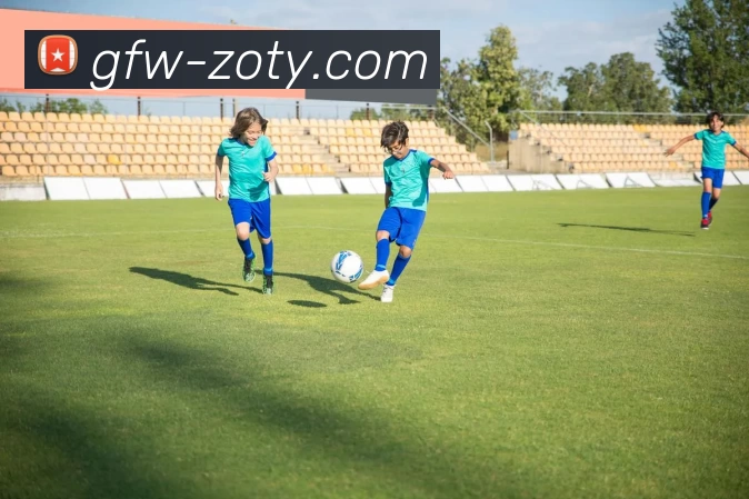 zoty中欧发展历程